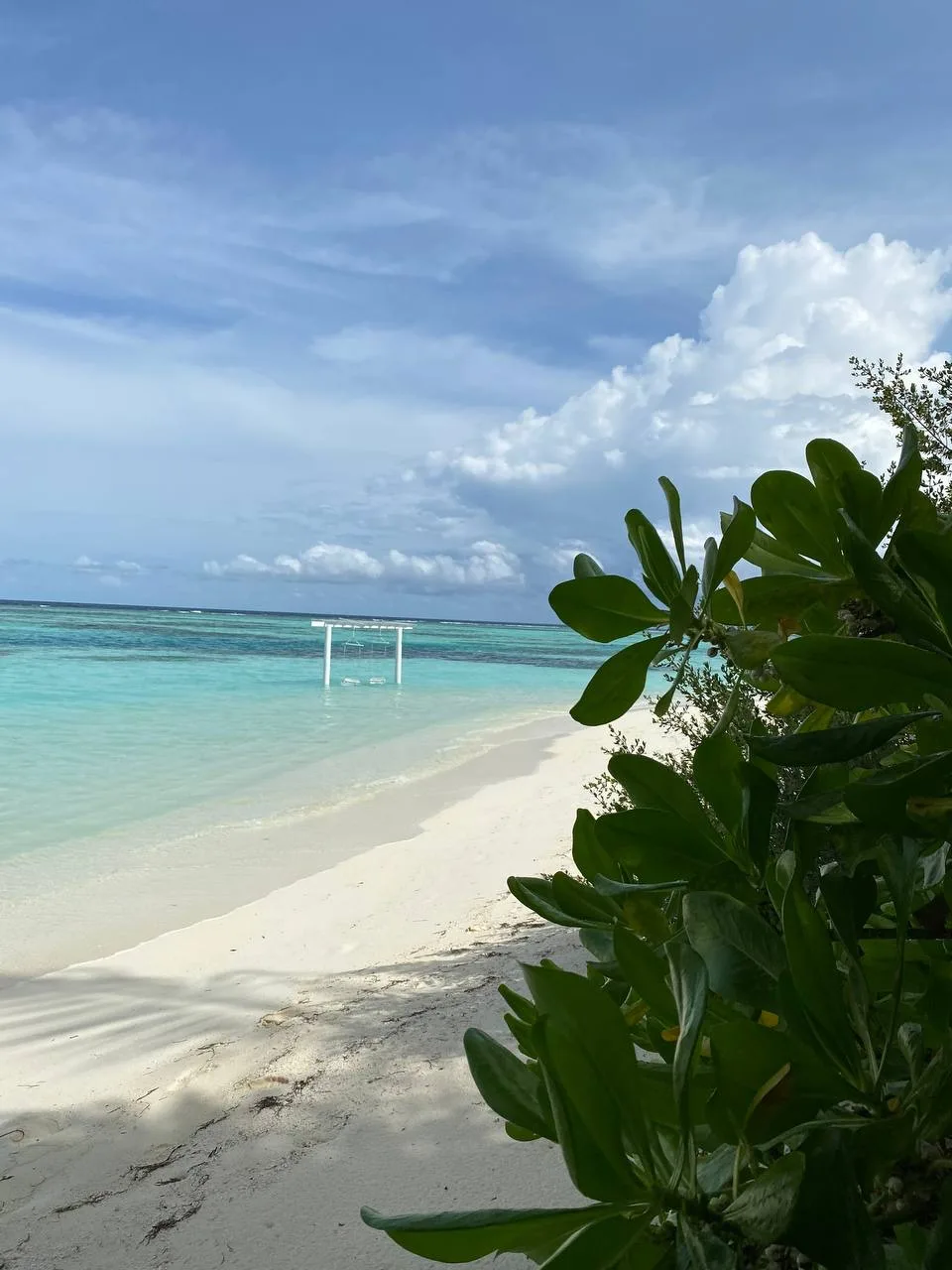 📍 LUX* South Ari Atoll Resort & Villas 5*