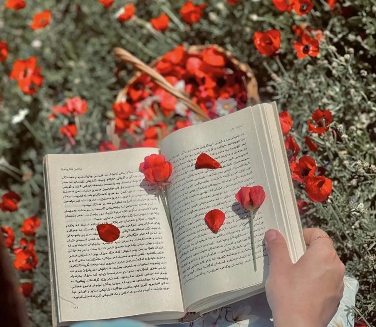 🗂У каждого  своё мнение