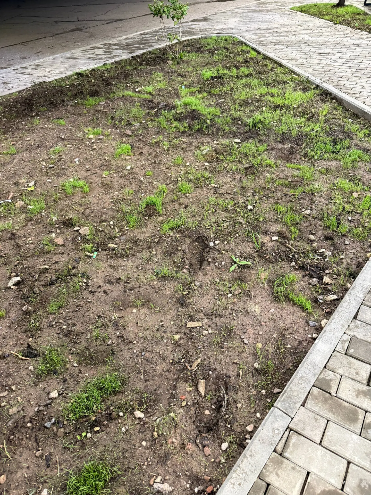 🚫 Не ходите по зелёным зонам у фонтана!

➡️ Совсем недавно сотрудники отдела благоустройства привел