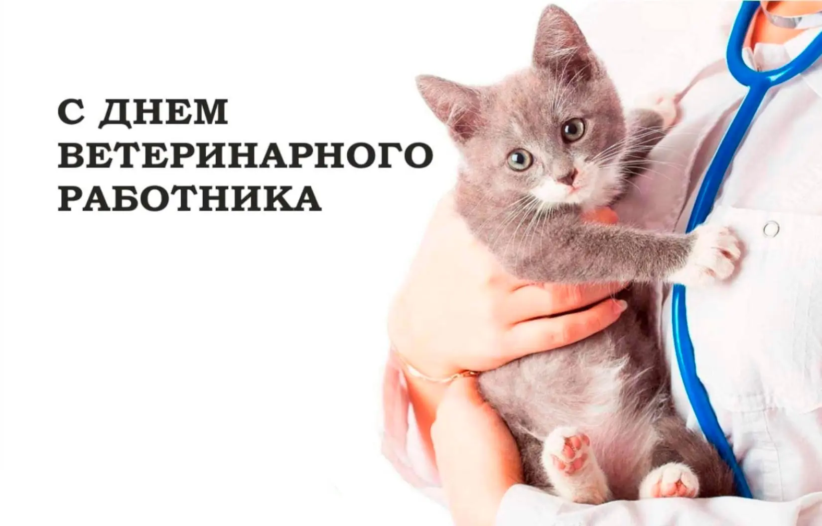 🎉 Поздравляем с Днем ветеринарного работника!🎉