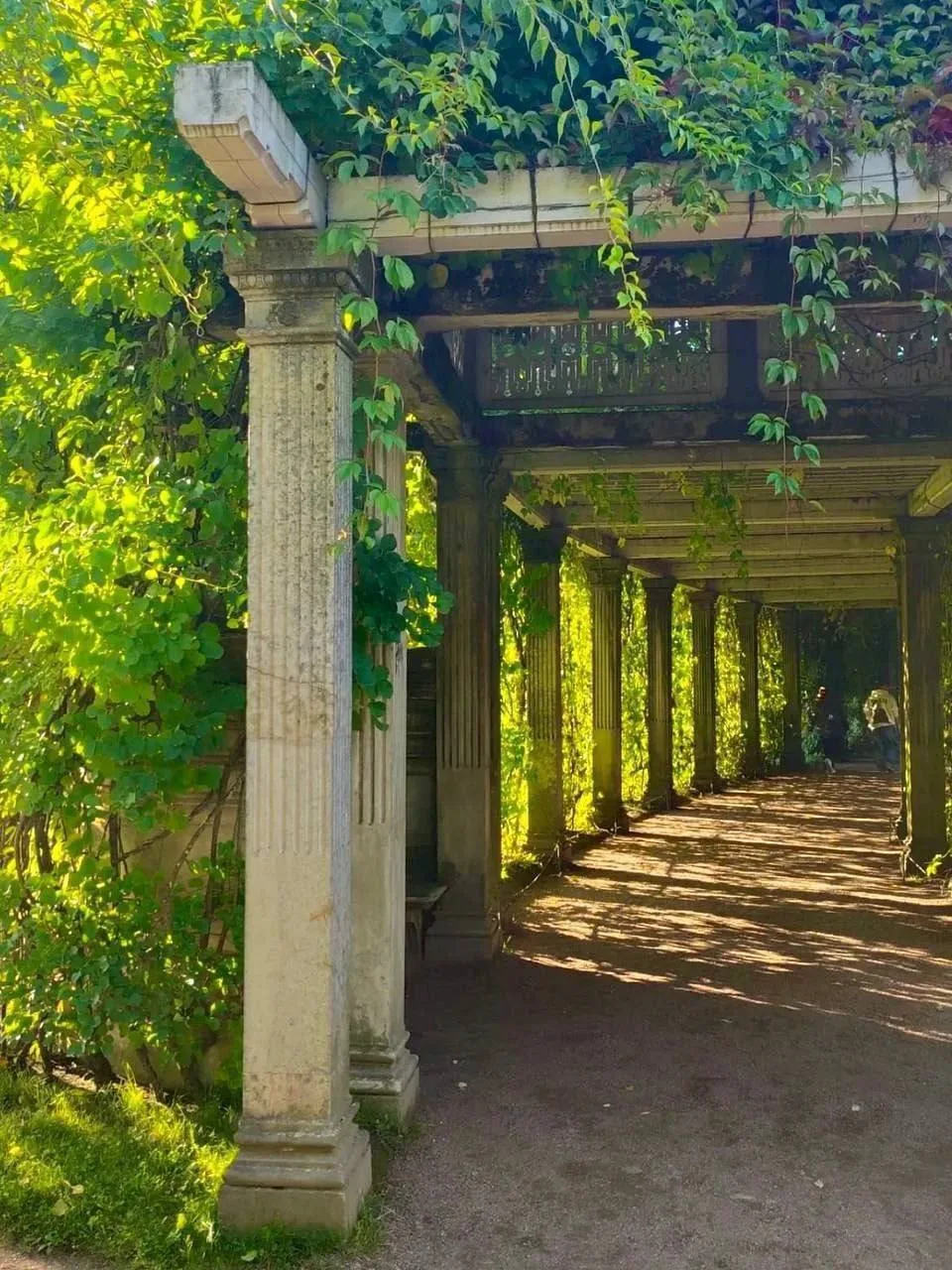 🍂Осенняя красота Екатерининского парка