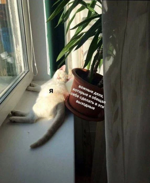 Доброе утро)