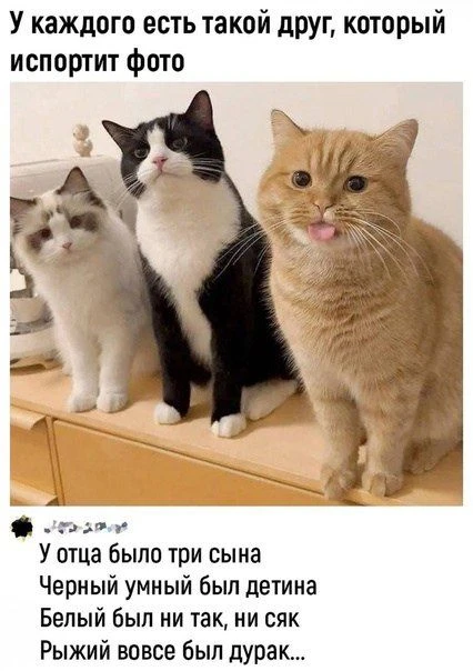 🎃 Весело у нас 🧨