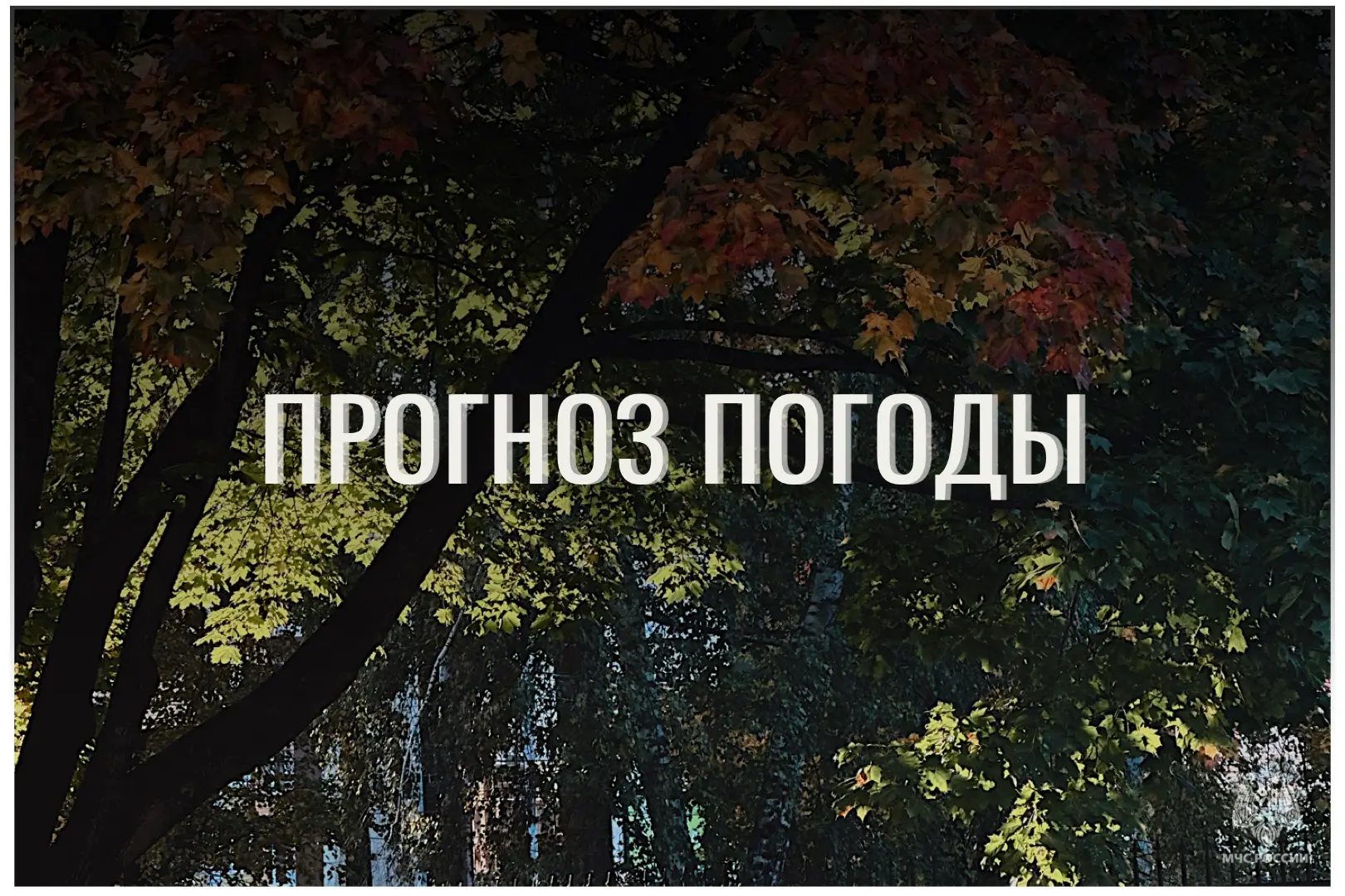⛅По данным ЦГМС, 4 октября в регионе прогнозируется облачно с прояснениями.