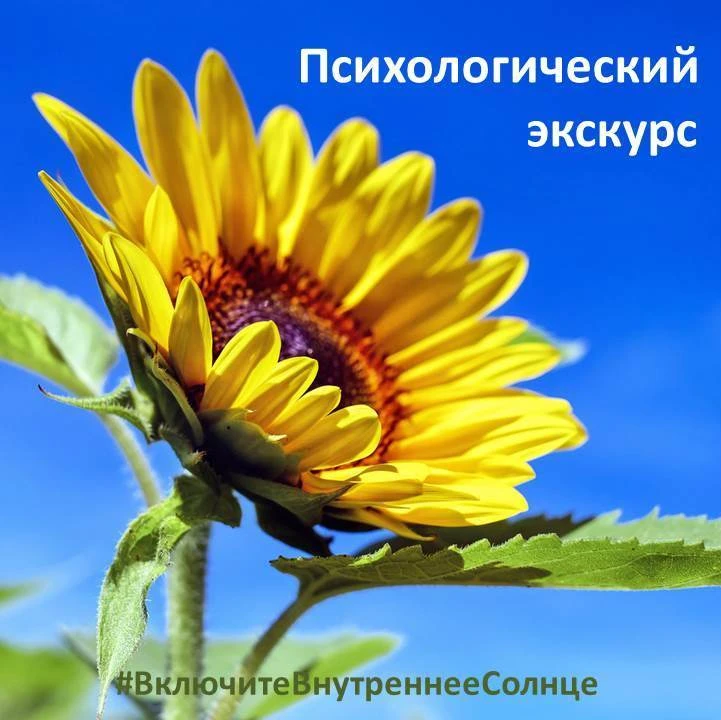 Продолжаем нашу рубрику «Психологический экскурс» отделения психологической помощи.