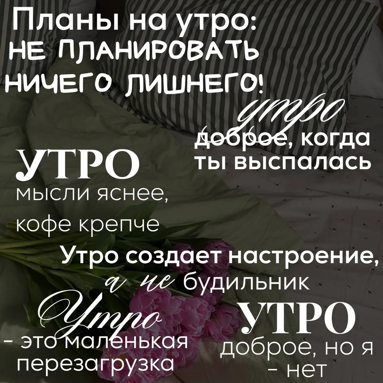 Планы на утро: не планировать ничего лишнего!
#утро

Ставьте ❤️ - если понравился набор