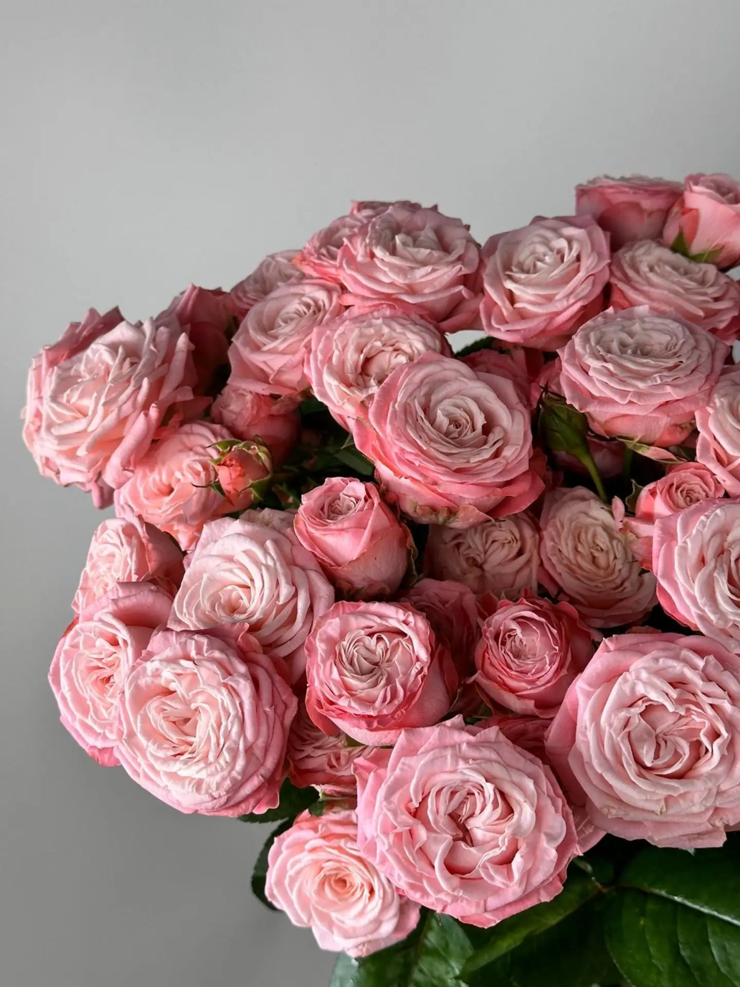 🌸 Свежее поступление