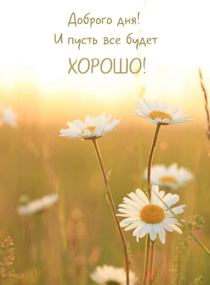 Всем хорошего дня😊