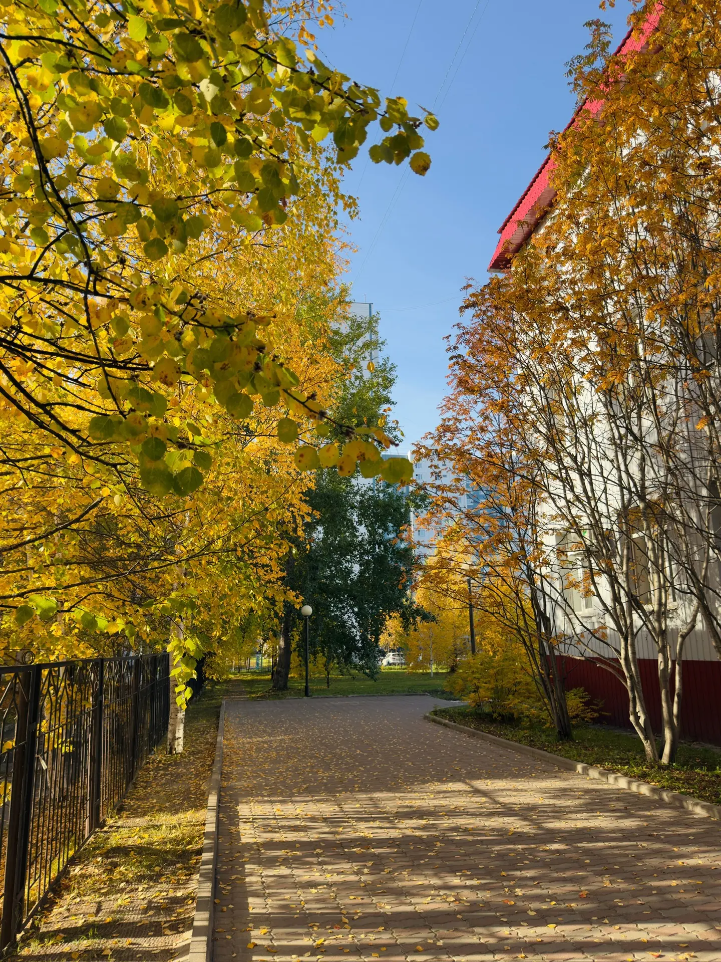 Доброе утро, Первый в Югре 🍁