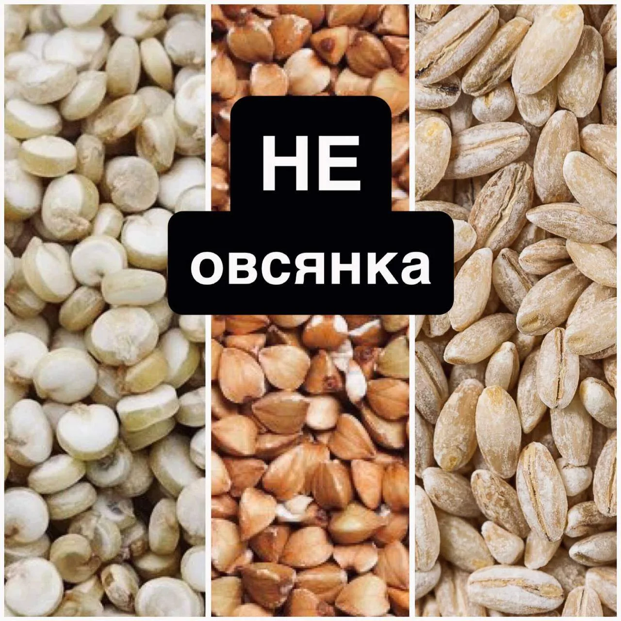 Овсянка - это золотой стандарт завтрака. Но даже самый полезный продукт может надоесть и организму, 
