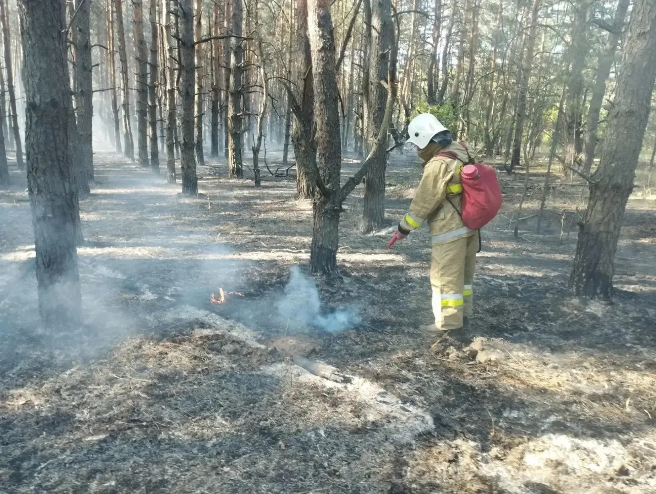 🔥 Два пожара за выходные: спасатели не дали огню добраться до домов! 🔥За минувшие вых...