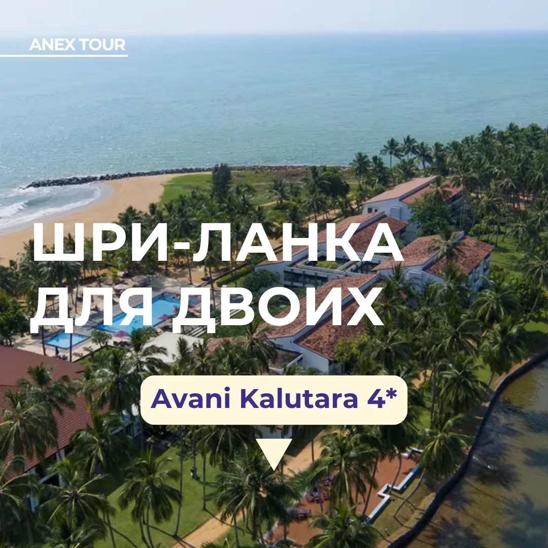 Какая привлекательная цена в классный отель Шри-Ланки с уникальным расположением💚