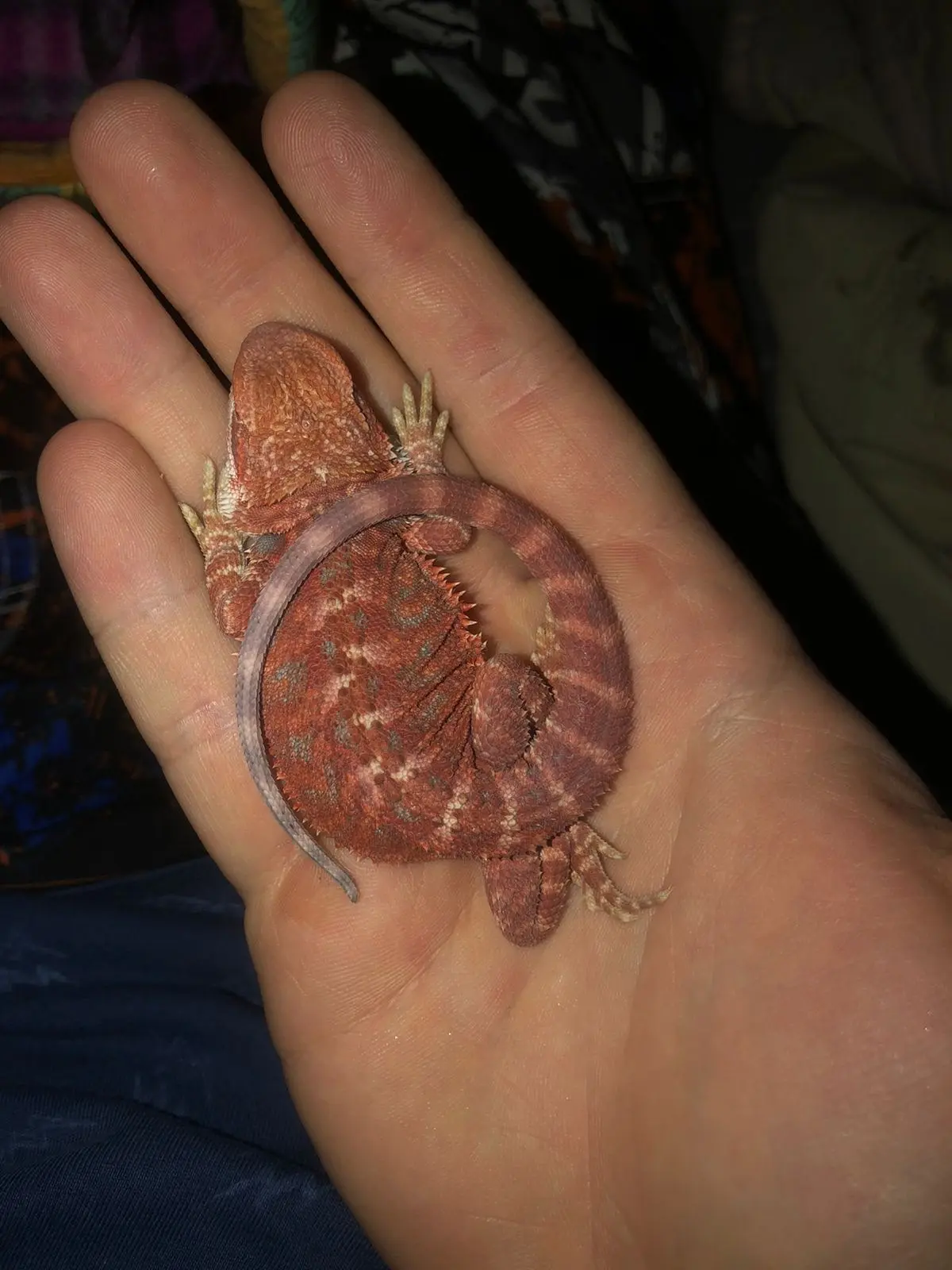 Как говорится было-стало) пост неимоверной красоты от нашего покупателя) ❤️❤️❤️🦎