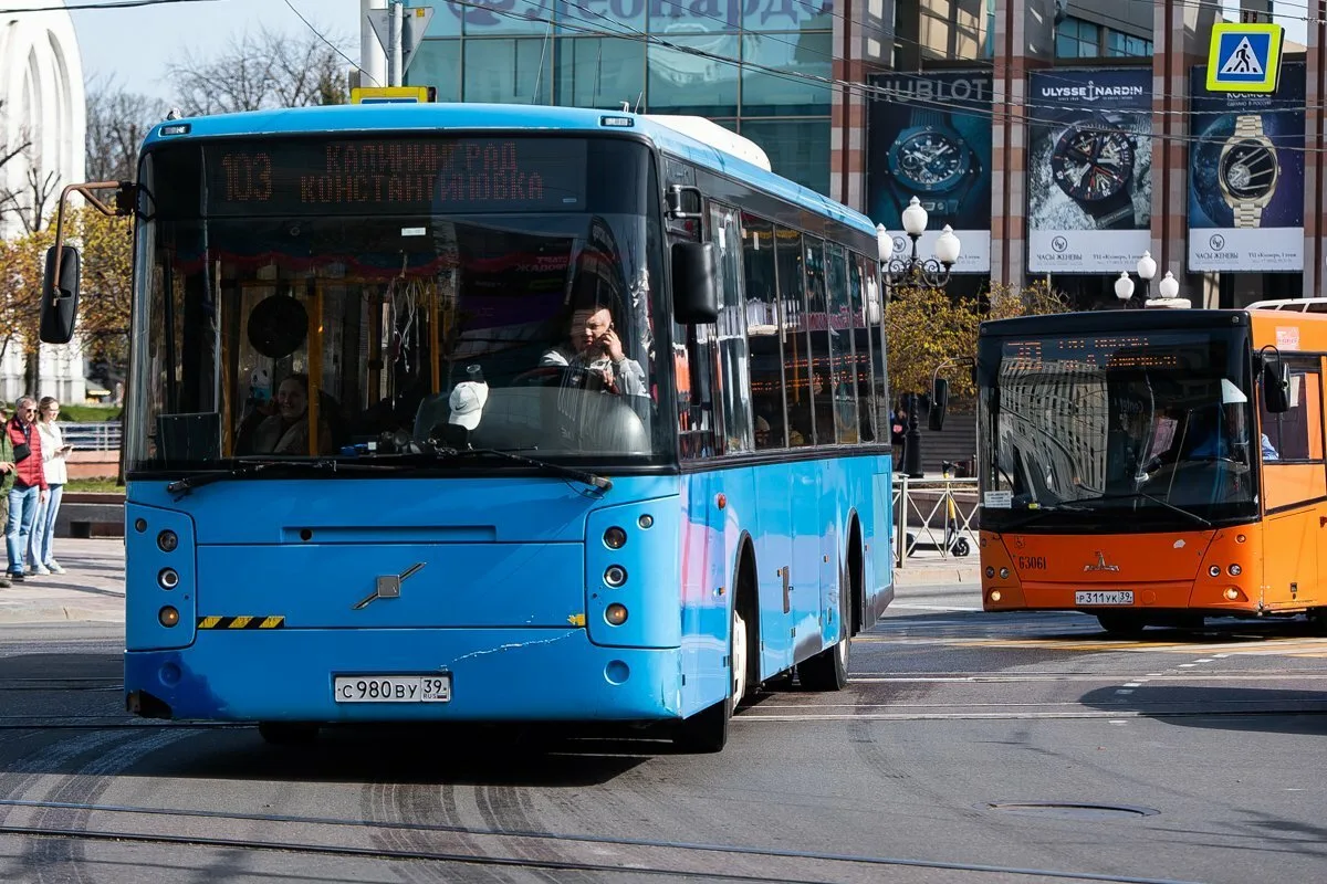 Пригородные автобусные перевозки в Калининградской области сократились на 5,3%