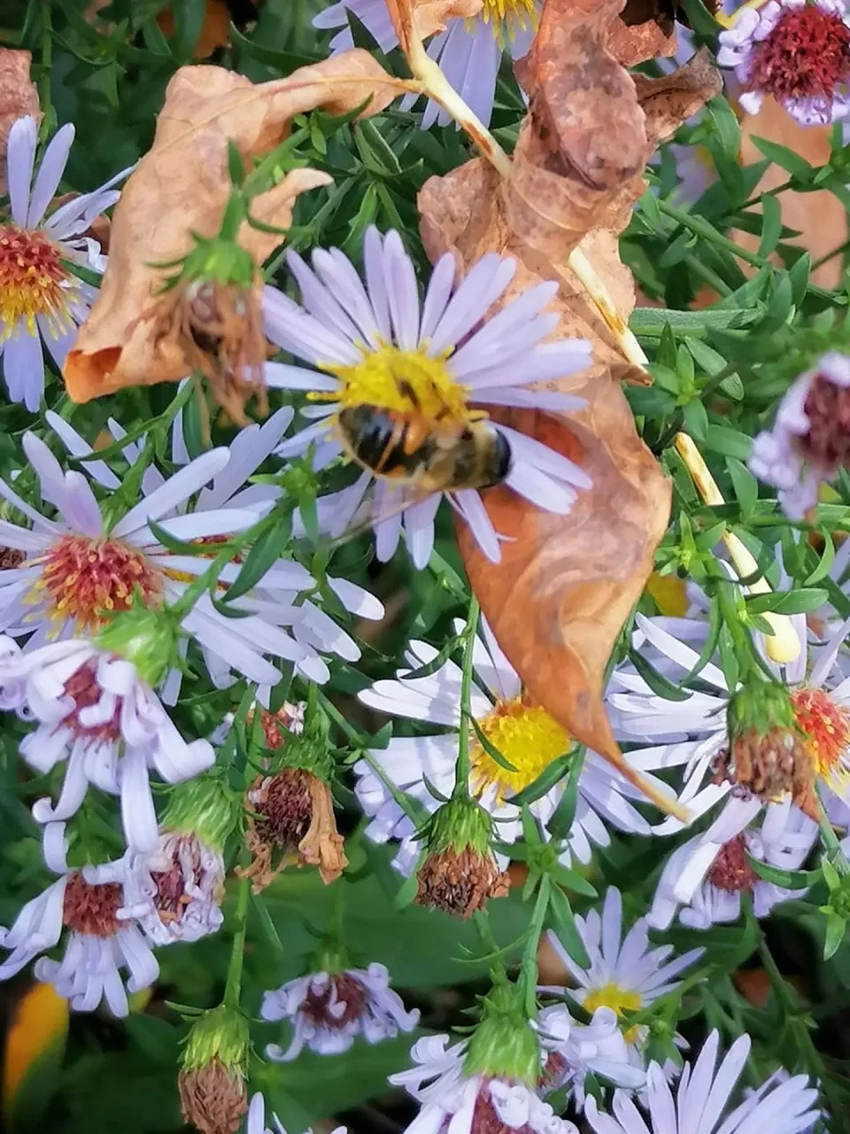 Провожаем лето с фото подписчицы 🦋