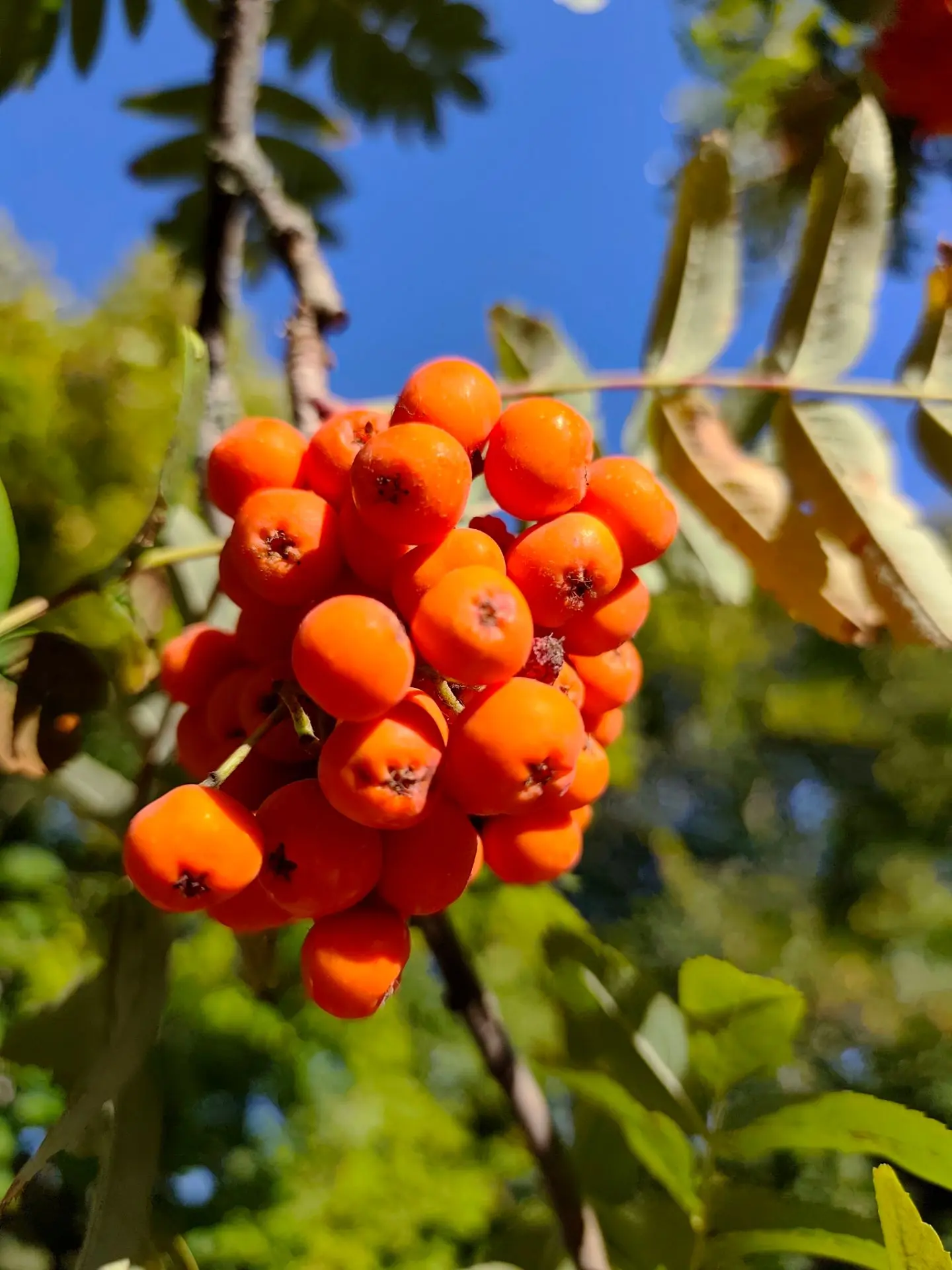 🦋🏵️Тихо, тихо догорает λ_е_τ_σ…🦋🌼