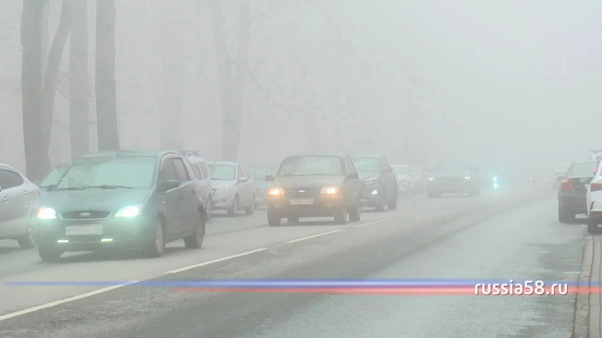 🌫️ Пензенцы продолжают чувствовать себя, словно ежики в тумане  Потому что такие погодные условия со