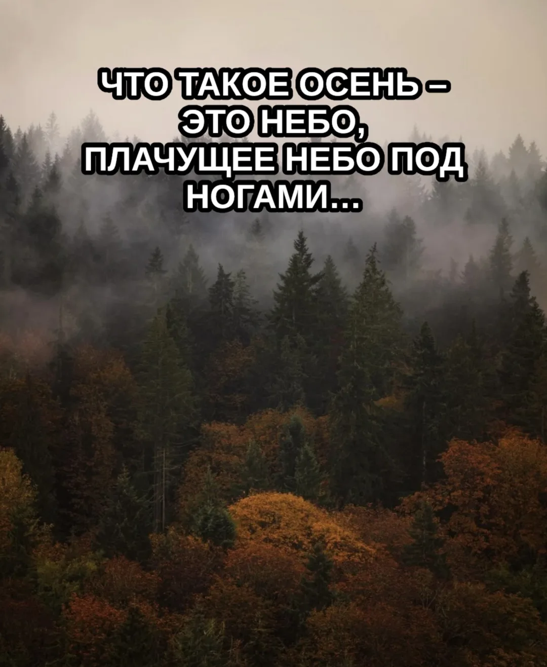 КОНКУРС НА ЛУЧШЕЕ СОЧИНЕНИЕ ТОЛЬКО ДЛЯ ТЕХ, КТО СЕЙЧАС НА ИГРЕ