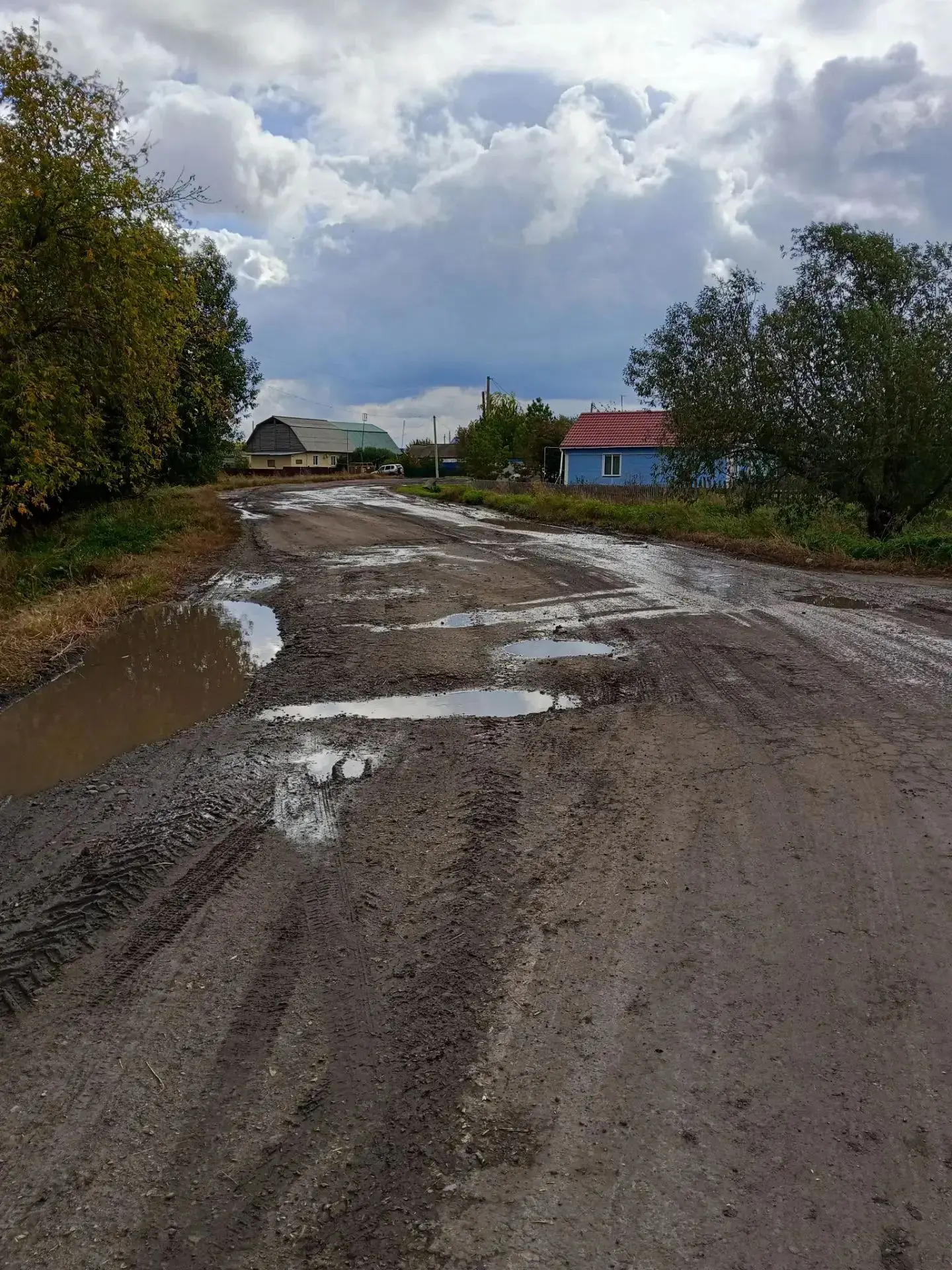 В Исилькульском районе Омской области, одном из лидеров региона по сельхозпроизводству,...