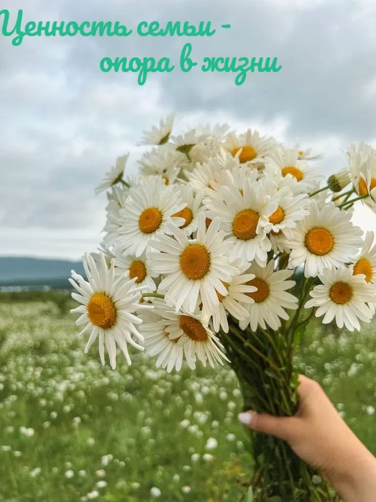 🌼В День семьи, любви и верности принято говорить о наших главных ценностях. 

А сегодня мы рассказы