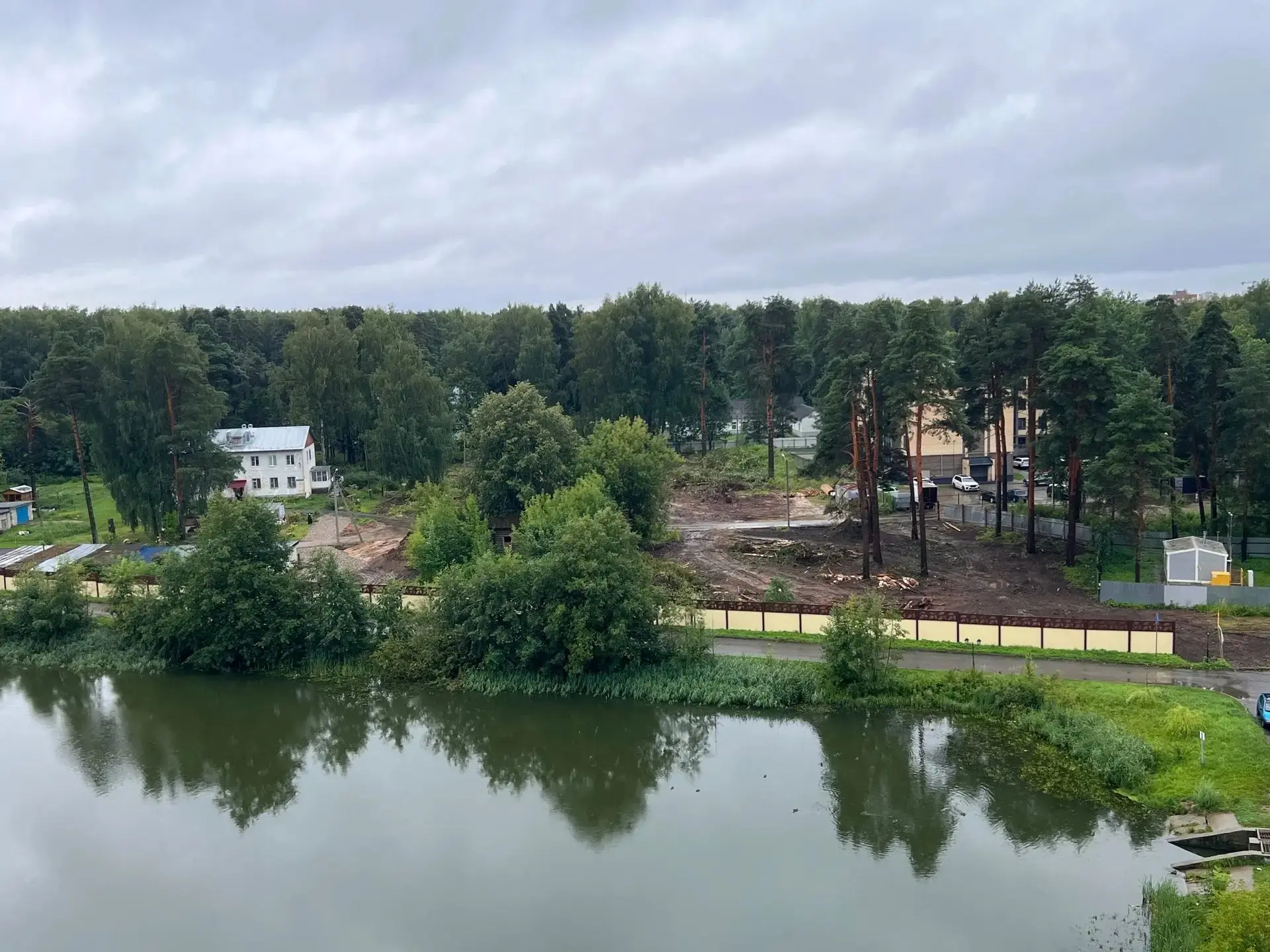 🌲 Жители Костромы возмущены вырубкой соснового леса в Берендеевке

Местная жительница заявила о мас