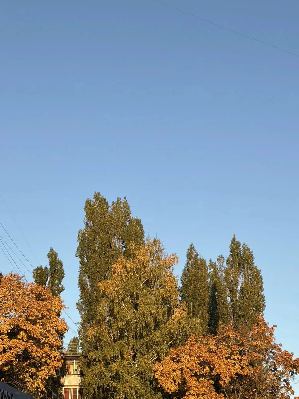 **🍂 Четверг, 8 октября: на улице комфортно**