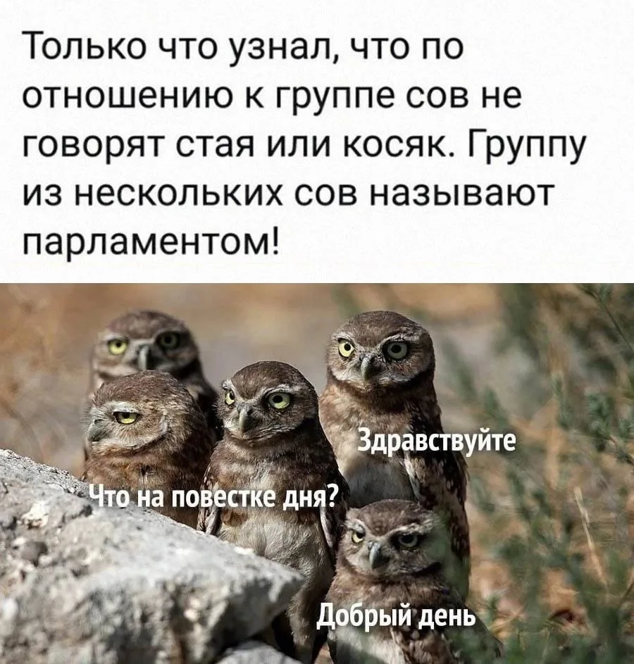 #юморсловца