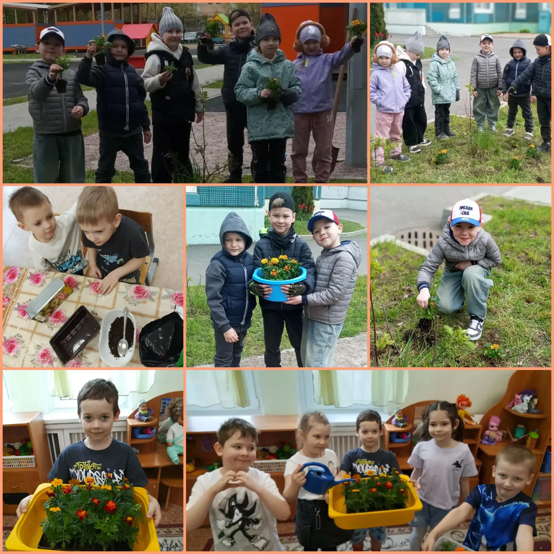 🌱 Наш волшебный огород на подоконнике: от семечка — к цветку! 🌸