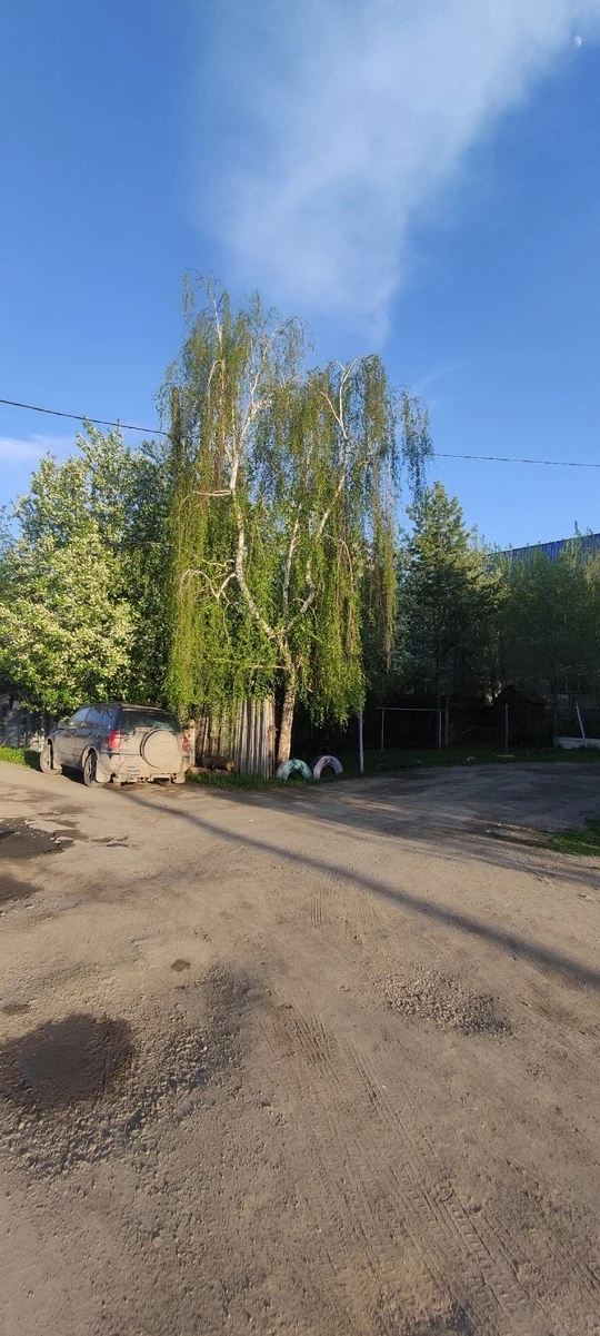 Присылайте Ваши фото в "Предложить пост"
