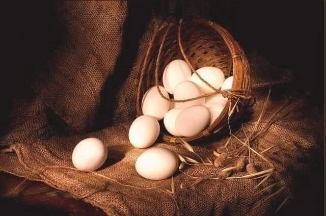 ВОЗВРАТ НА ЯЙЦО СДЕЛАТЬ