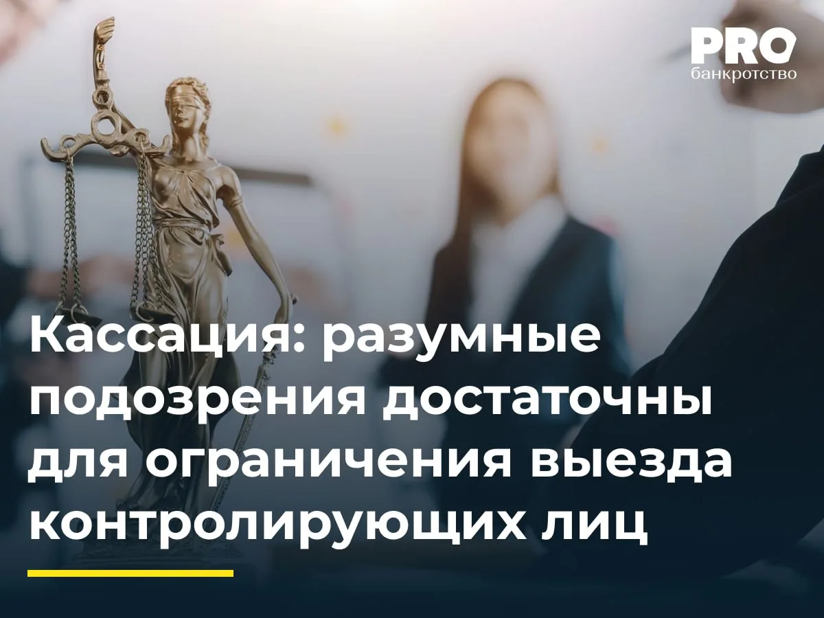 Кассация: разумные подозрения достаточны для ограничения выезда контролирующих лиц