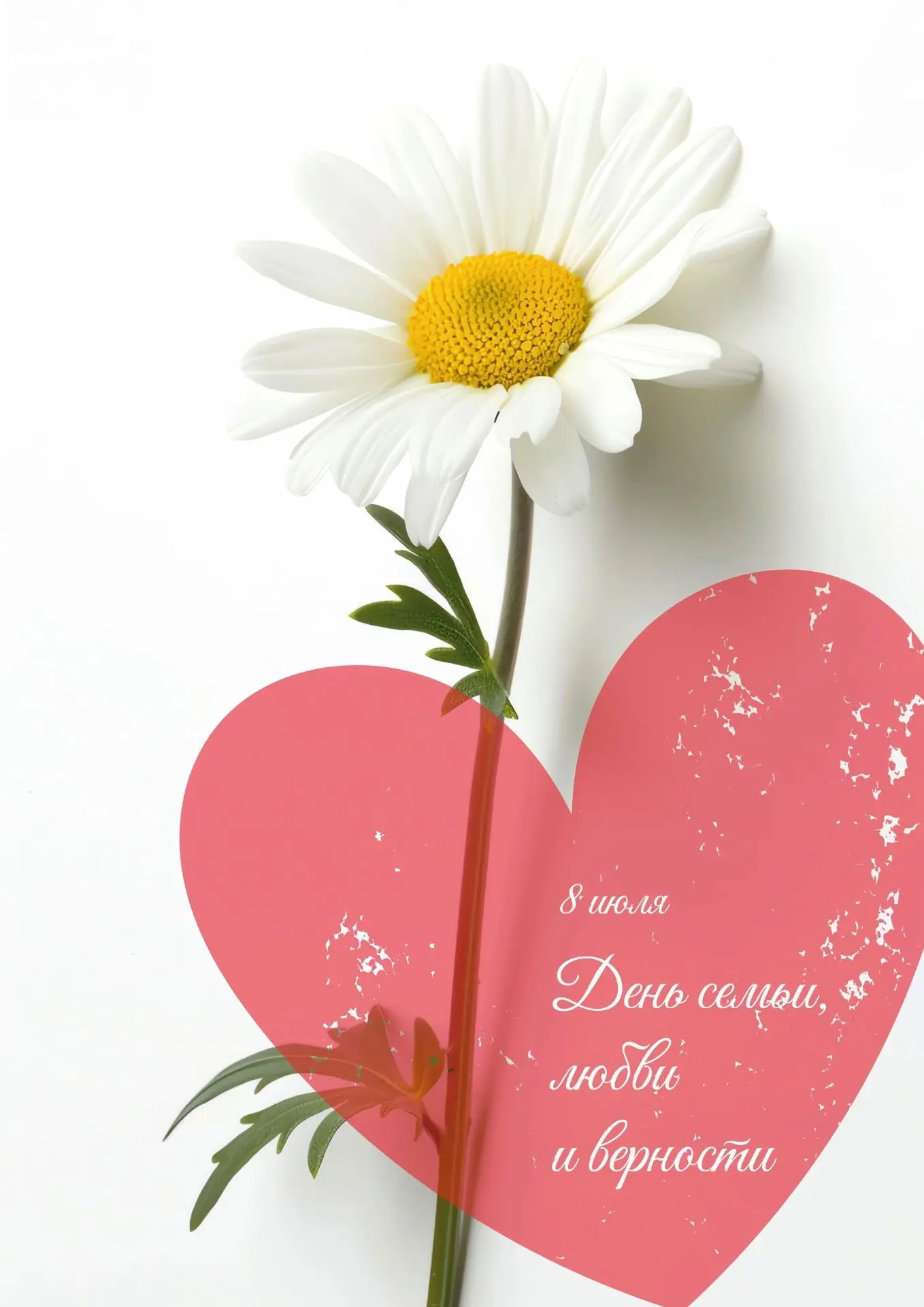 🌼 Самые важные люди сегодня рядом с вами.

Есть праздники, которые не про выходной, а про тех, кого