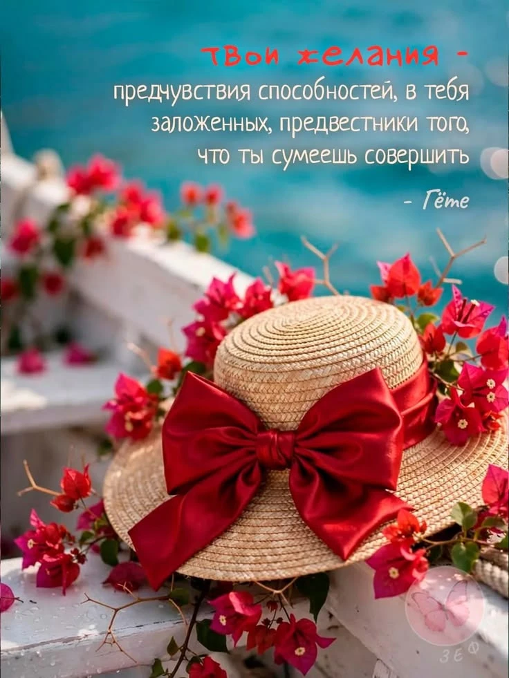 https://max.ru/invista123456
