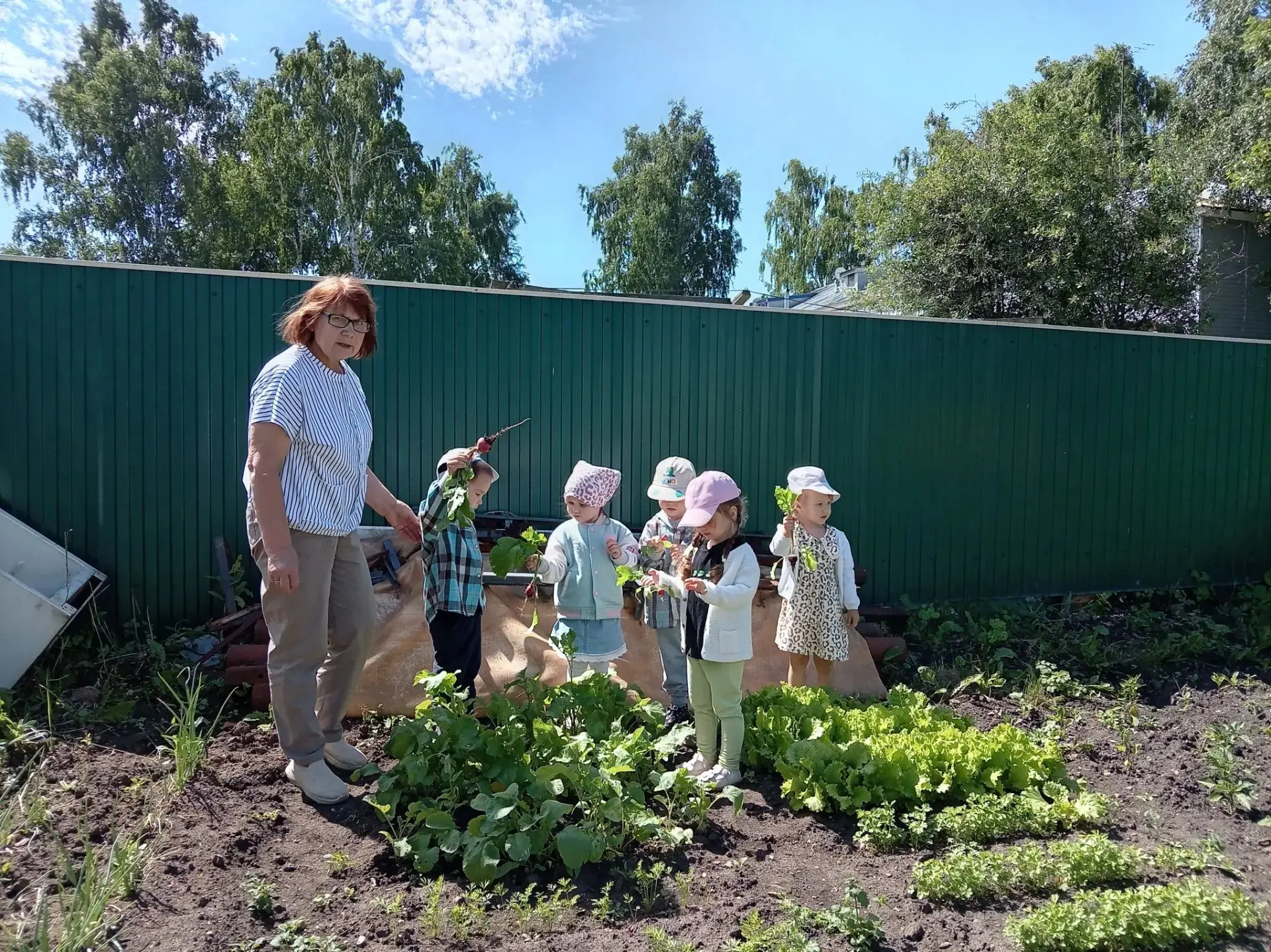 🌞Знакомство с овощами на грядке. Собирайся, народ,