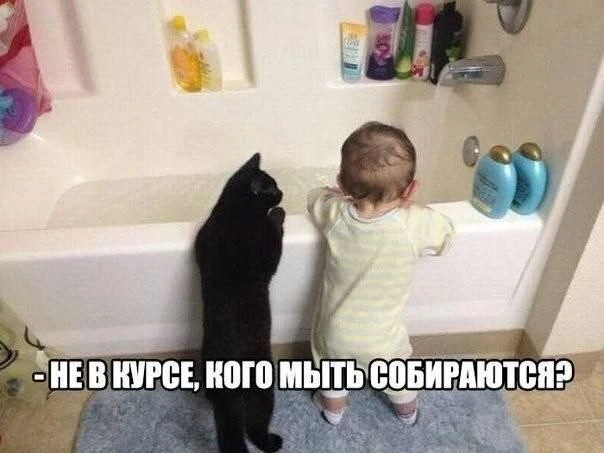 Когда руководство вдруг собирает расширенное совещание в пятницу и без указания повестк...