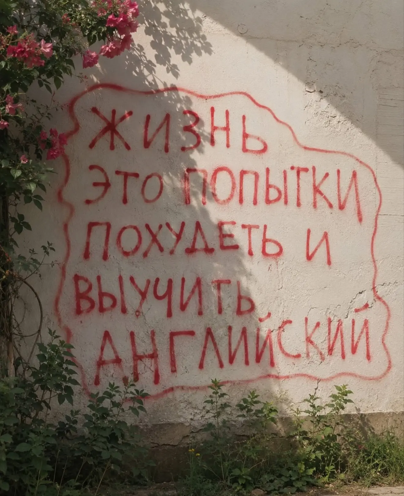 моя жизнь!
Со вторым значительно лучше, чем с первым 😁