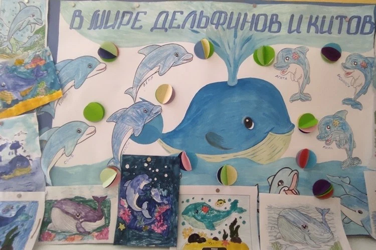 "Всемирный день китов и дельфинов"🐬🐳🐬🐋

Сегодня в подготовительной группе "Дельфинчики" прошёл и