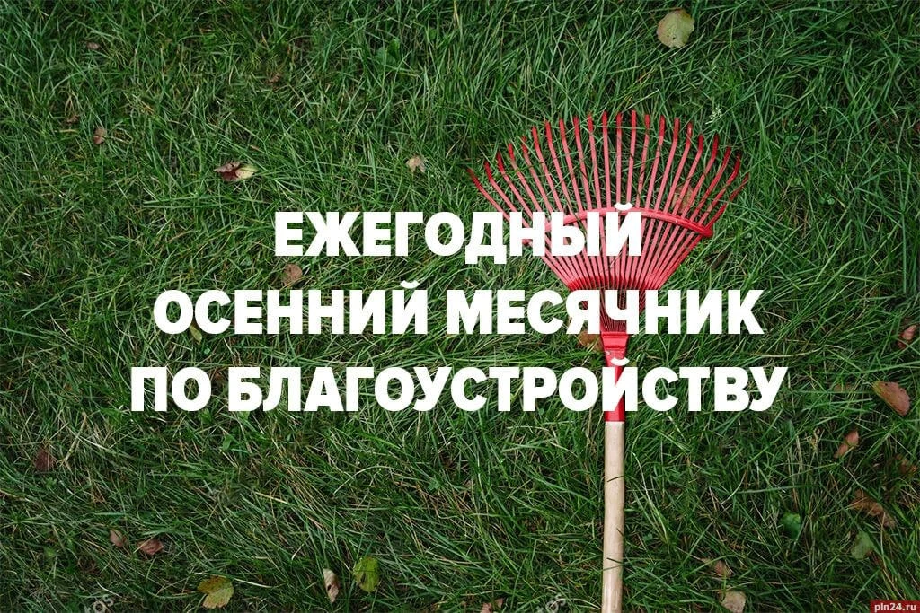 🧹 Чистый город: в Великих Луках стартовал осенний месячник по благоустройству