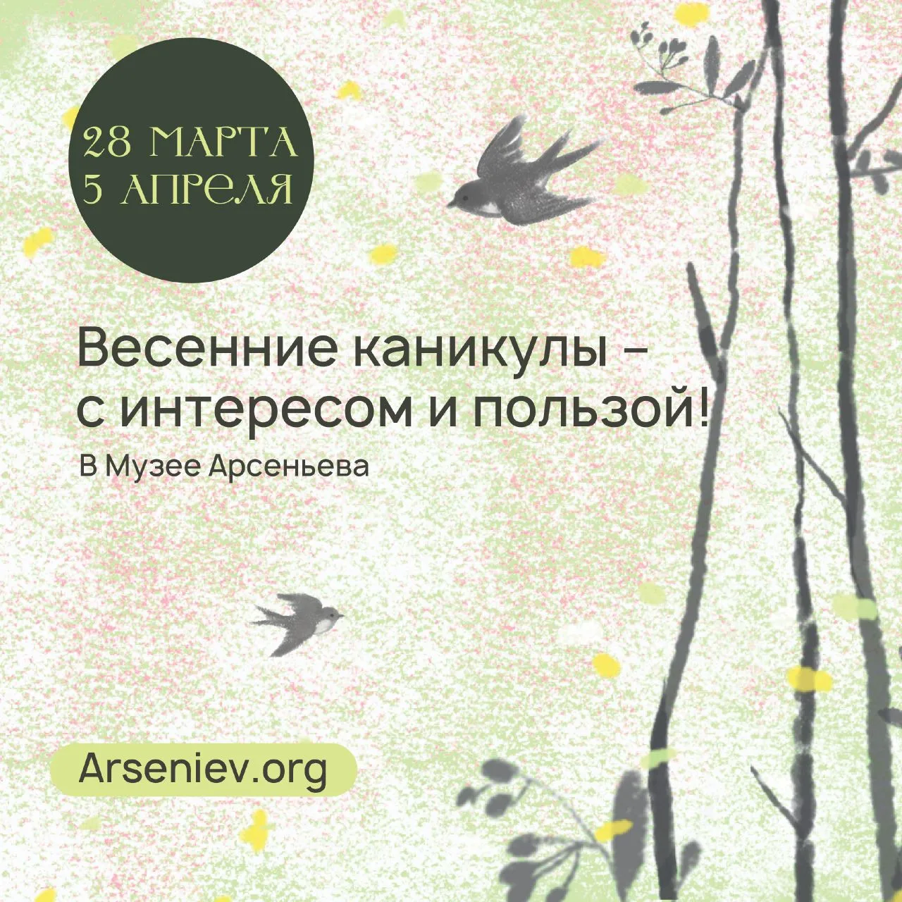 Весенние каникулы в музее 🌿🏛  С 28 марта по 5 апреля в Приморье пройдут весенние каникулы, которые м