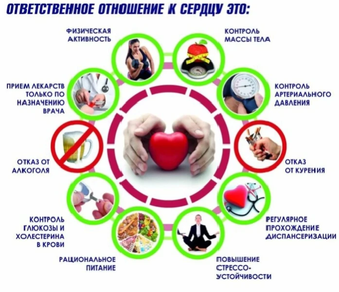 ‎❗🫀Сердечно-сосудистые заболевания остаются одной из главных причин смертности и инвал...