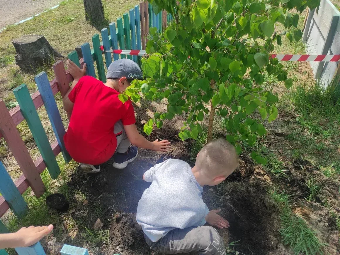 Оставили добрый след: наши выпускники посадили березы! 🌳