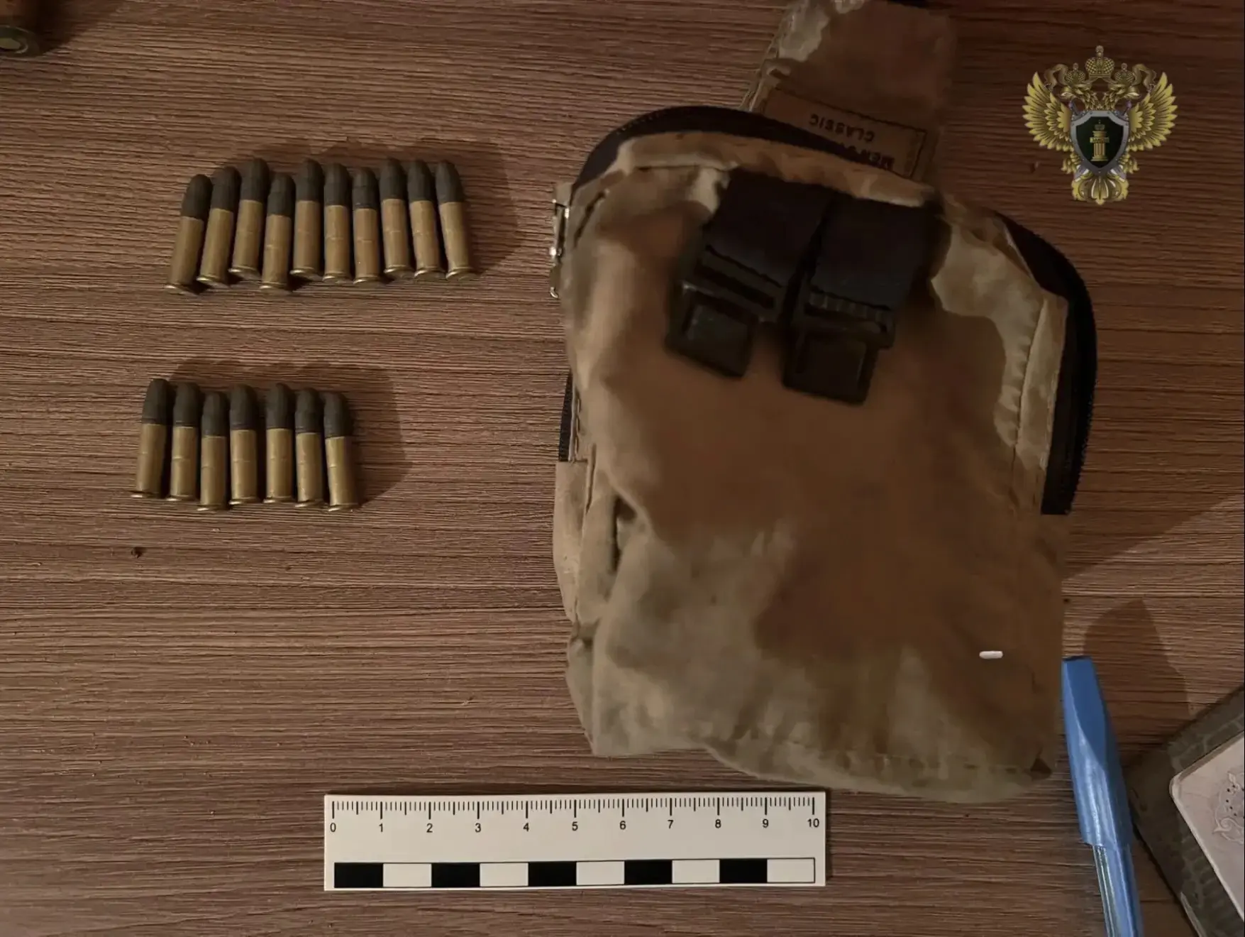 В Хабаровском крае вынесен приговор местному жителю за незаконное хранение боеприпасов к огнестрельн
