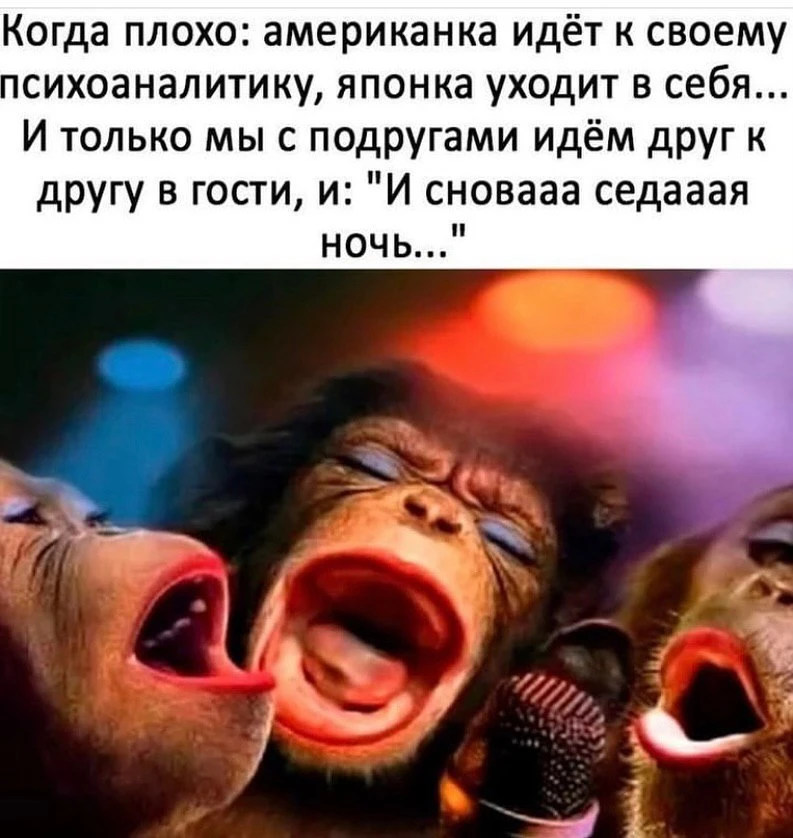 Ежик