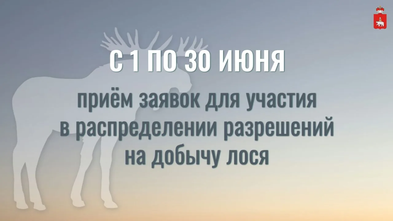 Минприроды Прикамья сообщает о начале приёма заявок на получение разрешений на добычу л...