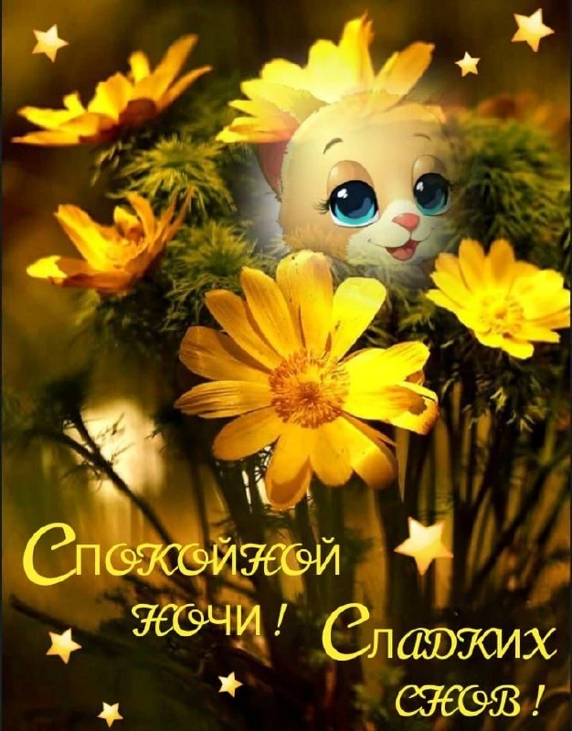 Открытки из WA — Подписывайся