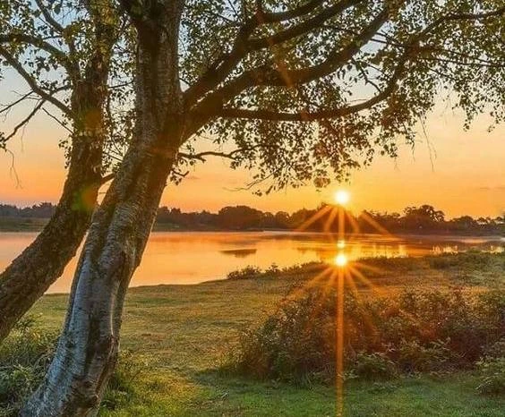 🍀 Доброе утро, соседи!
