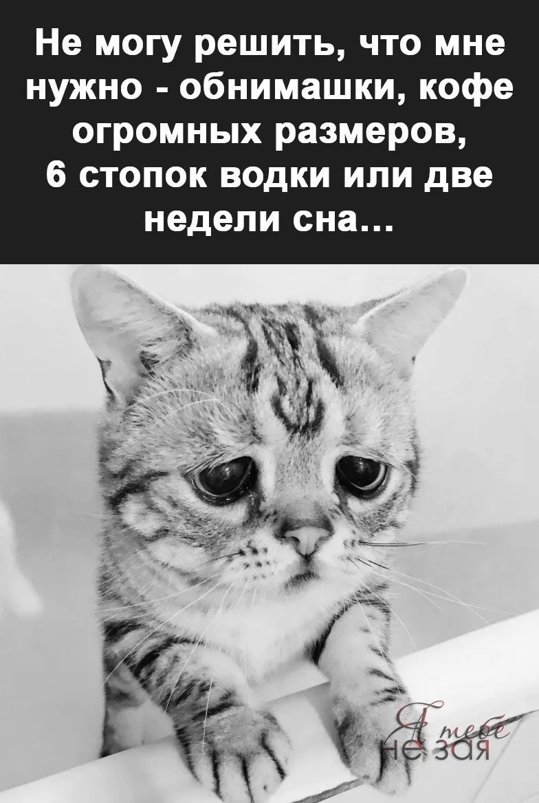 🇷🇺  Мы в МАХ : https://max.ru/public217683068