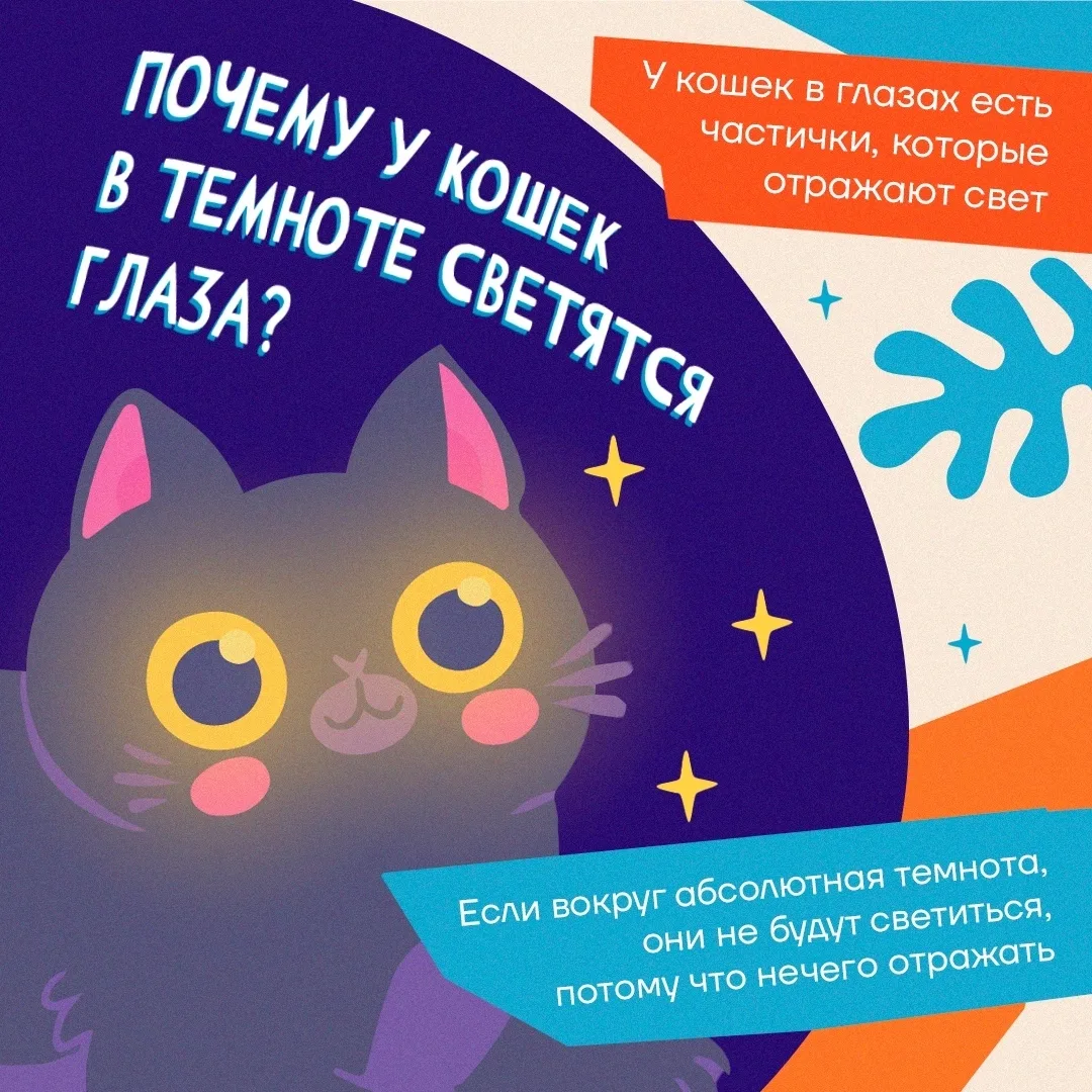 ❓ Ответы на детские «почему?» 

Все дети невероятно любознательны. С самого раннего возраста малыши 