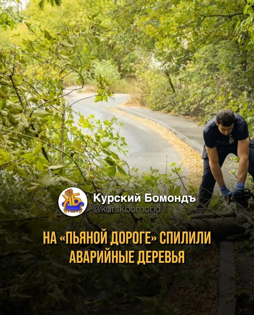На «пьяной дороге» спилили аварийные деревья.