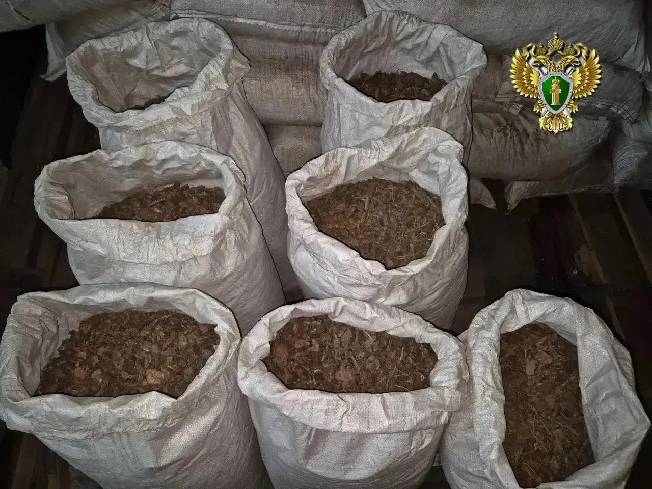 ⚡В Республике Алтай взыскан ущерб, причиненный незаконной добычей растений, занесенных ...
